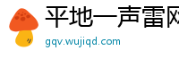 平地一声雷网